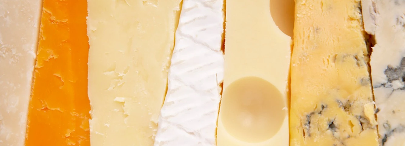 BestPracticesGuideCheesemakers Header