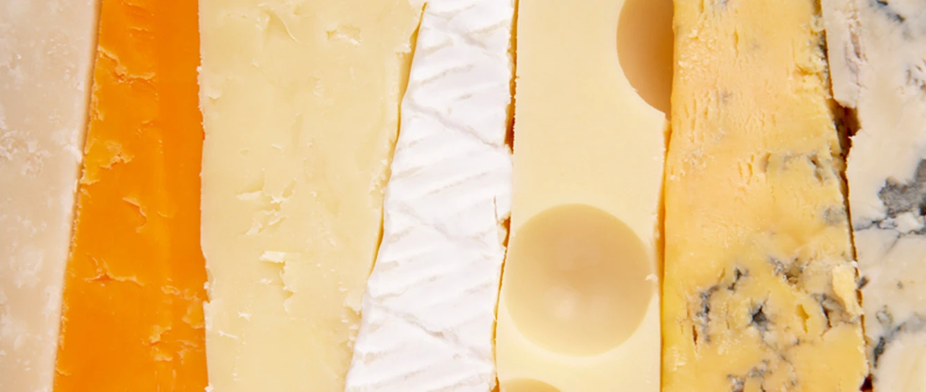 BestPracticesGuideCheesemakers Header
