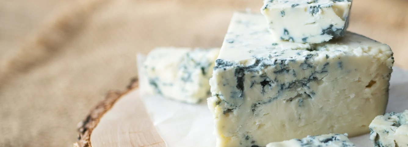 CheeseEducationHeader